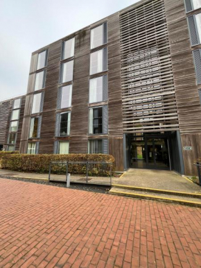 Stringfellow Hall